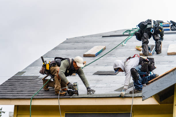 Professional Storm Damage Roof Repair technician working in Trezevant, TN